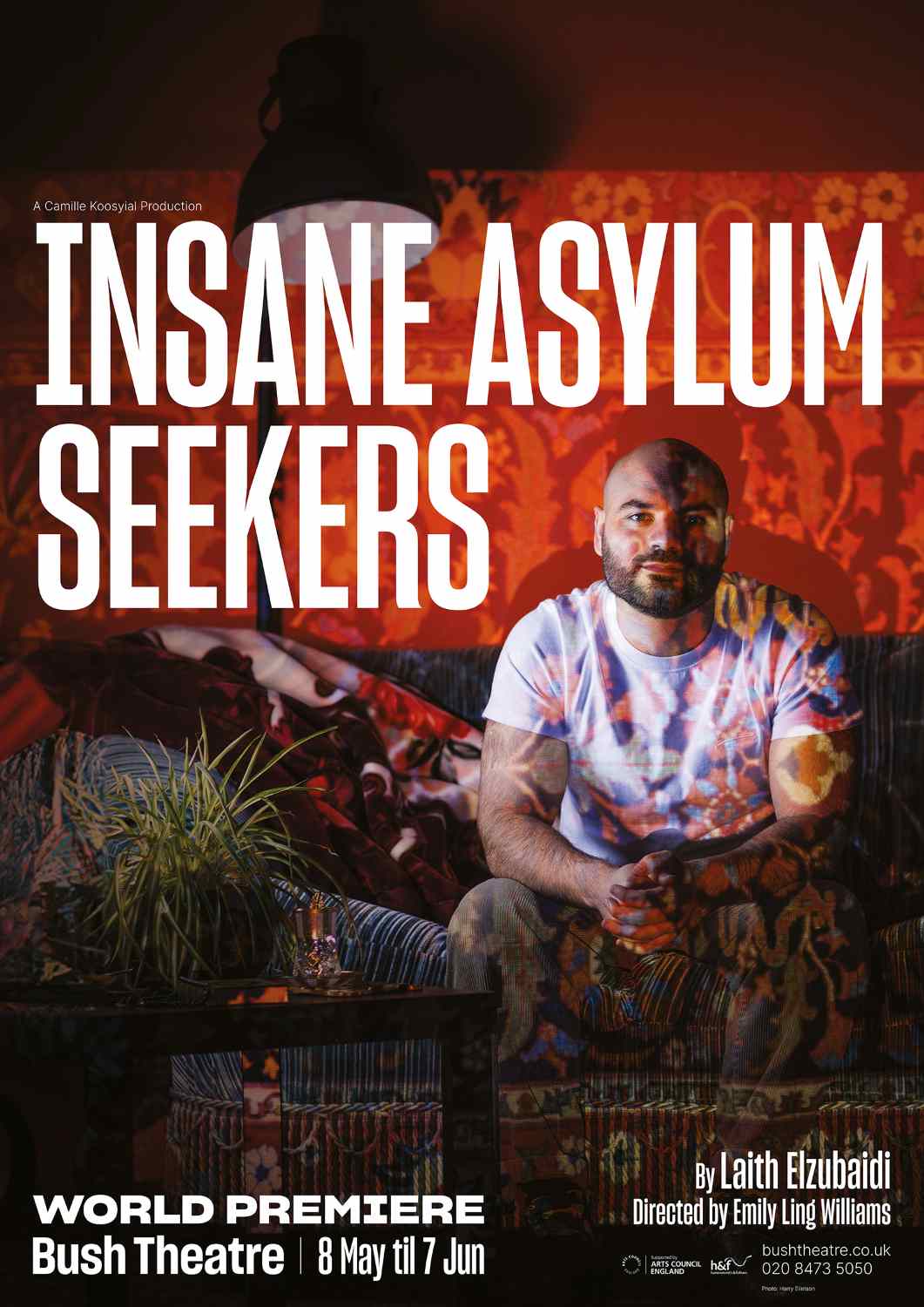 Insane Asylum Seekers poster